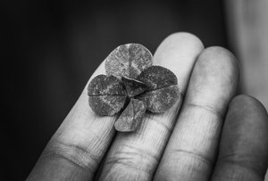  Cổng giải trí đỉnh cao 
